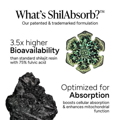 Root Labs - Alpha Gummies